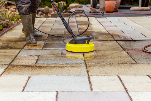 Animal Enclosure Cleaning in Swainsboro, GA